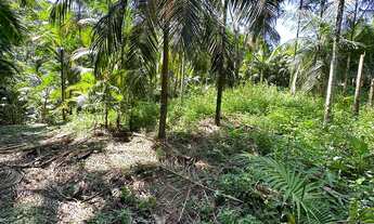 Imagem 6: TERRENO, Testo Rega, Pomerode - SC