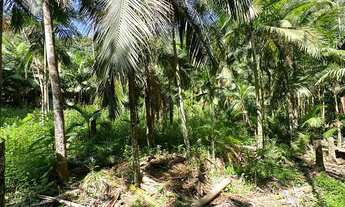 Imagem 7: TERRENO, Testo Rega, Pomerode - SC