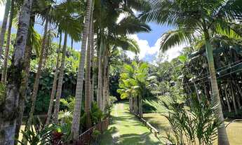 Imagem 4: SÍTIO - Wunderwald, Pomerode SC