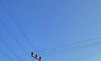 Imagem 6: TERRENO, Testo Rega, Pomerode - SC