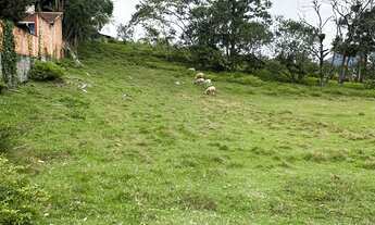 Imagem 2: TERRENO - Testo Rega, Pomerode SC