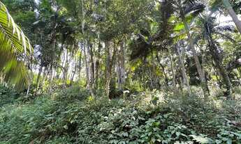 Imagem 3: TERRENO - Wunderwald, Pomerode SC