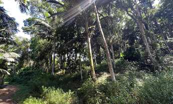 Imagem 5: TERRENO - Wunderwald, Pomerode SC