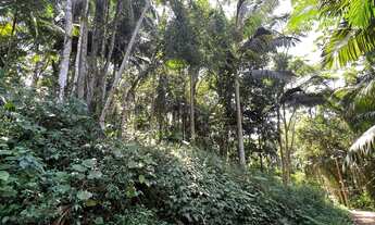 Imagem 6: TERRENO - Wunderwald, Pomerode SC