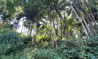 Imagem 7: TERRENO - Wunderwald, Pomerode SC