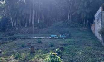 Imagem 5: TERRENO, Ribeirão Areia, POmerode - SC