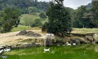 Imagem 6: SÍTIO, Rio dos Cedros - SC