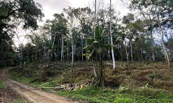 Imagem: TERRENO - Wunderwald, Pomerode SC