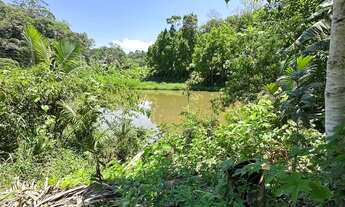 Imagem 6: SÍTIO, Wunderwald, Pomerode- SC