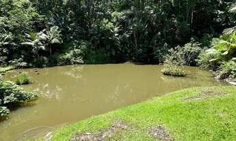 Imagem 5: SÍTIO, Wunderwald, Pomerode- SC