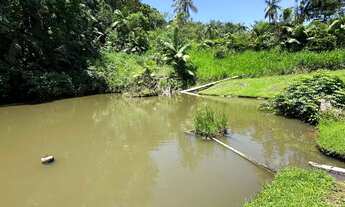 Imagem 7: SÍTIO, Wunderwald, Pomerode- SC