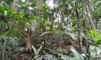 Imagem 4: CHACARÁ - Testo Rega, Pomerode SC