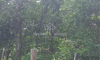 Imagem: Chácara com 10.800 m2 sendo 60 x 180, proximo