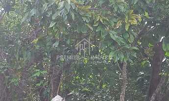 Imagem 5: Chácara com 10.800 m2 sendo 60 x 180, proximo a Fazendinha Cocorico