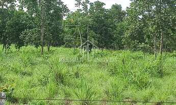 Imagem 6: Chácara com 10.800 m2 sendo 60 x 180, proximo a Fazendinha Cocorico