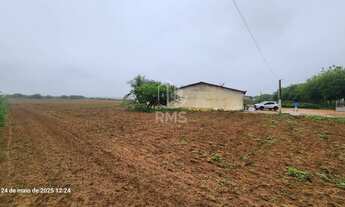 Imagem 5: VENDO CHÁCARA POV PAU FERRO - CRAÍBAS - AL Apenas 12km de Arapiraca