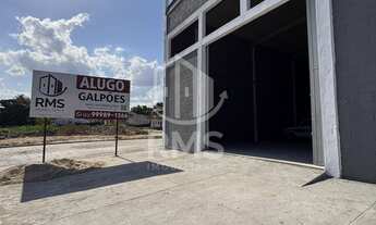 Imagem 3: ALUGA-SE GALPÃO AS MARGENS DO RIACHO PIAUÍ EM ARAPIRACA - AL