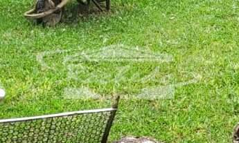 Imagem 5: Terreno à venda, Santa Cândida, CURITIBA - PR