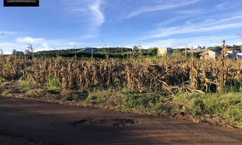 Imagem 2: Lote para Venda Terreno / lote com venda por R$100.000