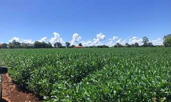 Imagem 4: ÁREA À VENDA - PRÓXIMO AO ICLI - IATE CLUBE, FOZ DO IGUAÇU - PR