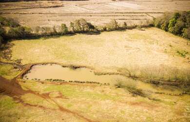 Imagem 5: CHÁCARA LOCALIZADA EM SÃO MIGUEL DO IGUAÇU - PR