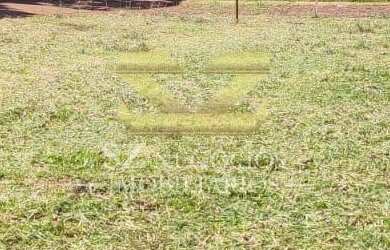 Imagem 3: CHÁCARA À VENDA NA MATA VERDE- FOZ DO IGUAÇU- PR