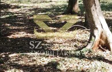 Imagem 5: CHÁCARA À VENDA NA MATA VERDE- FOZ DO IGUAÇU- PR