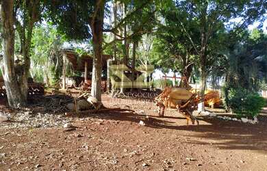 Imagem 3: AREA RURAL - AURORA DO IGUAÇU - SÃO MIGUEL DO IGUAÇU - PR