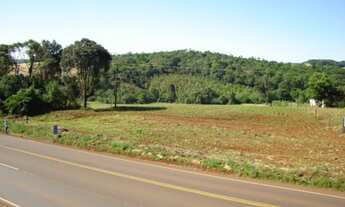 Imagem 4: Terrenos em área rural à venda na PR 280 em Pato Branco PR
