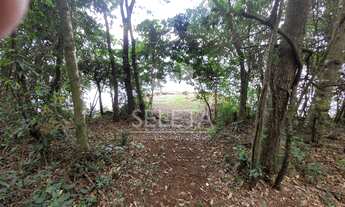 Imagem 4: Chácara no alagado em Boa Vista da Aparecida proximo a Usina de Salto Caxias