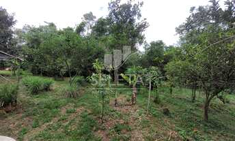 Imagem 5: Chácara no alagado em Boa Vista da Aparecida proximo a Usina de Salto Caxias