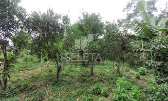 Imagem 6: Chácara no alagado em Boa Vista da Aparecida proximo a Usina de Salto Caxias