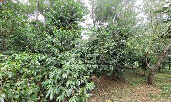 Imagem 7: Chácara no alagado em Boa Vista da Aparecida proximo a Usina de Salto Caxias