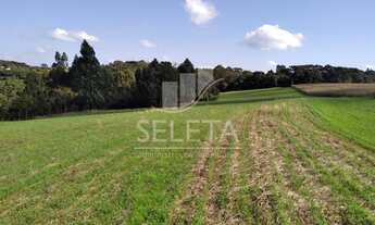 Imagem 4: Chácara à venda, CENTRO, IBEMA - PR