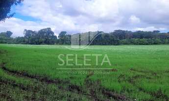 Imagem 2: Área urbana no Bairro Morumbi Área total 59.800 metros quadrados