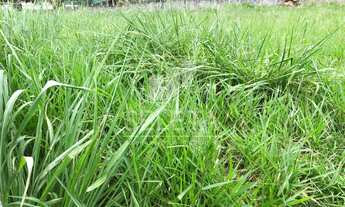 Imagem: Terreno de esquina à venda, ao lado da