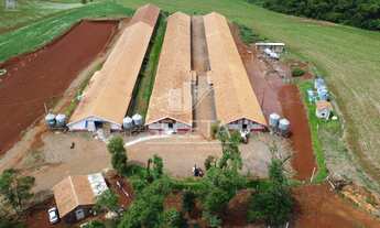 Imagem: Sitio as margens da BR 277 na cidade de