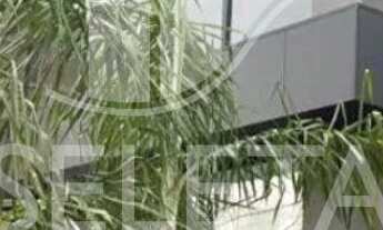 Imagem: SALA COMERCIAL COM 250m DISPONÍVEL PARA