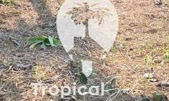 Imagem 4: Terreno à venda, Faixa Mar Guapê, PONTAL DO PARANA - PR