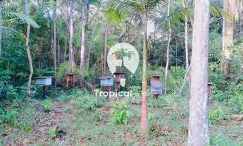 Imagem 2: Área no Litoral do Paraná - Guaraguaçú a 07 Km do Balneário Praia Leste