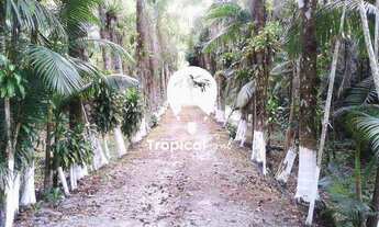 Imagem: Área no Litoral do Paraná - Guaraguaçú