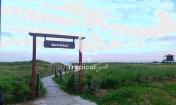 Imagem 4: Apartamento à venda Frente Mar, Gaivotas, MATINHOS - PR