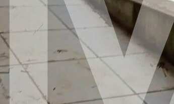 Imagem 3: Salão comercio a venda em Extrema salão com terreno de mil metros rico em agua