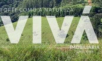 Imagem 2: IMPERDÍVEL - lote de 308,80m Para construção imediata