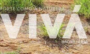 Imagem 3: IMPERDÍVEL - lote de 308,80m Para construção imediata