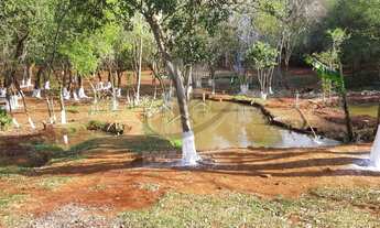 Imagem 5: BELÍSSIMA CHÁCARA COM DUAS CASAS AÇUDES E RIO, PRÓXIMO PESQUE PAGUE WANDESCHEER