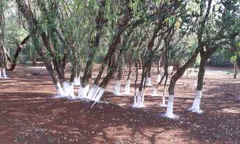 Imagem 6: BELÍSSIMA CHÁCARA COM DUAS CASAS AÇUDES E RIO, PRÓXIMO PESQUE PAGUE WANDESCHEER