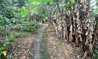 Imagem 6: Sítio - Mulde Central - Timbó