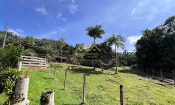 Imagem 3: Sítio - Vila Itoupava - Blumenau