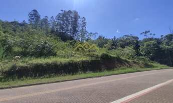 Imagem 6: Lote/Terreno - Testo Alto - Pomerode